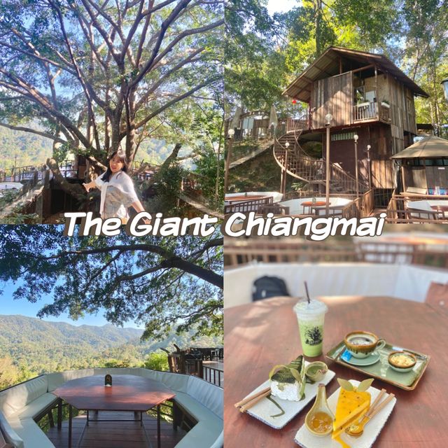 The Giant Chiangmai