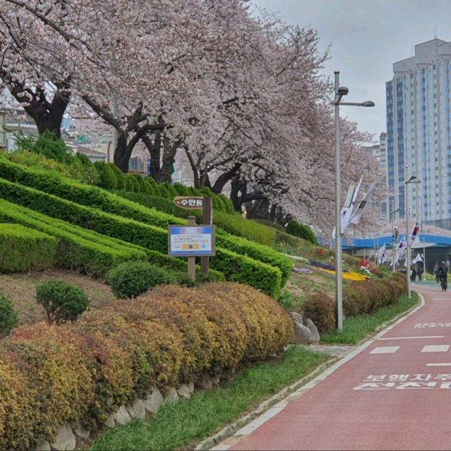 대도시와 바다를 즐길 수 있는 아름다운 자전거 여행을 할 수 있는 라이딩 코스