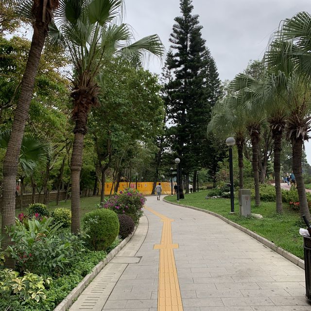 休憩的好地方｜蝴蝶灣公園