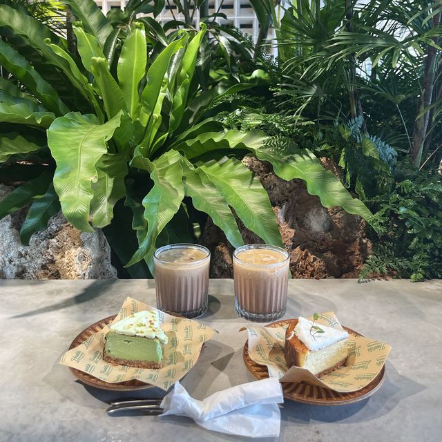 深圳藍色繡球花海