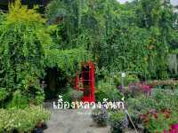 เอื้องหลวงจันท์  รีสอร์ท &คาเฟ่