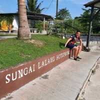 Game on a dip at Sg. Lalang Hotspring, Semenyih