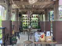 บูชาองค์พญานาค ที่ม่อนพญานาคราชแม่ออน