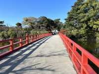 【神奈川】天下の名城！小田原城🏯をご紹介