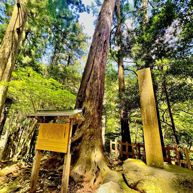那智の滝