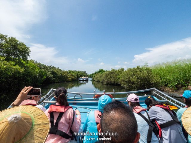นั่งเรือชมป่าโกงกาง ไถหนาน