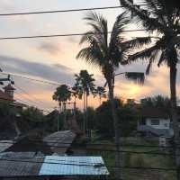 Lucky Family in Ubud Bali