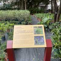 Luís de Camões Plant Nursery