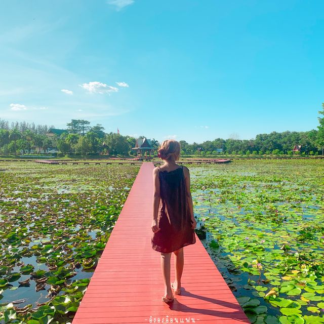 @อุทยานบัวเฉลิมพระเกียรติ สวนสาธารณะสกลนคร