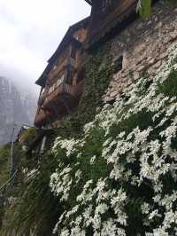Hallstatt เมืองริมทะเลสาบที่สวยมาก