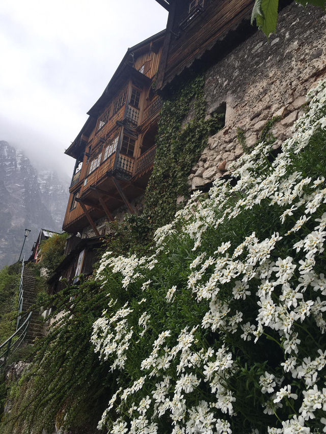 Hallstatt เมืองริมทะเลสาบที่สวยมาก