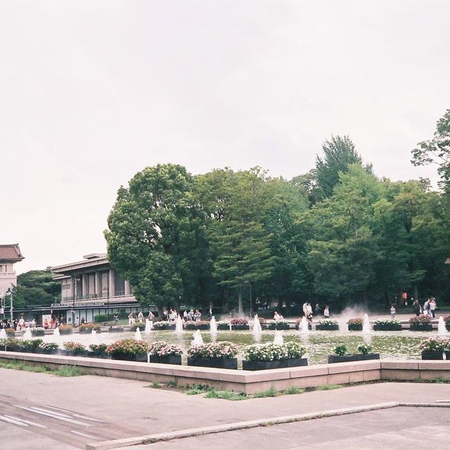 Ueno park , Tokyo