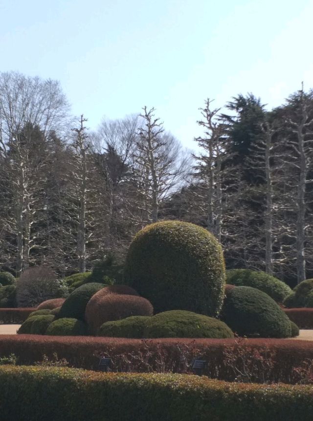 Prettiest Park in Tokyo - Shinjuku Gyoen