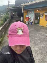 หมู่บ้านแมว ไต้หวัน🐱