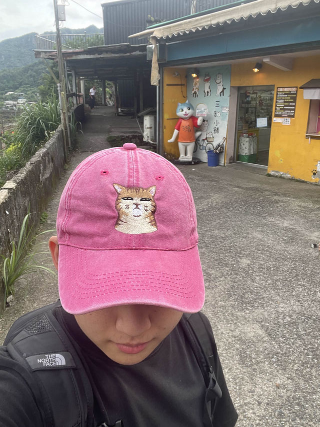 หมู่บ้านแมว ไต้หวัน🐱