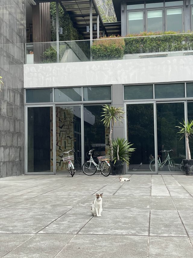 🤍 The Peri Hotel- เขาใหญ่ 🌳