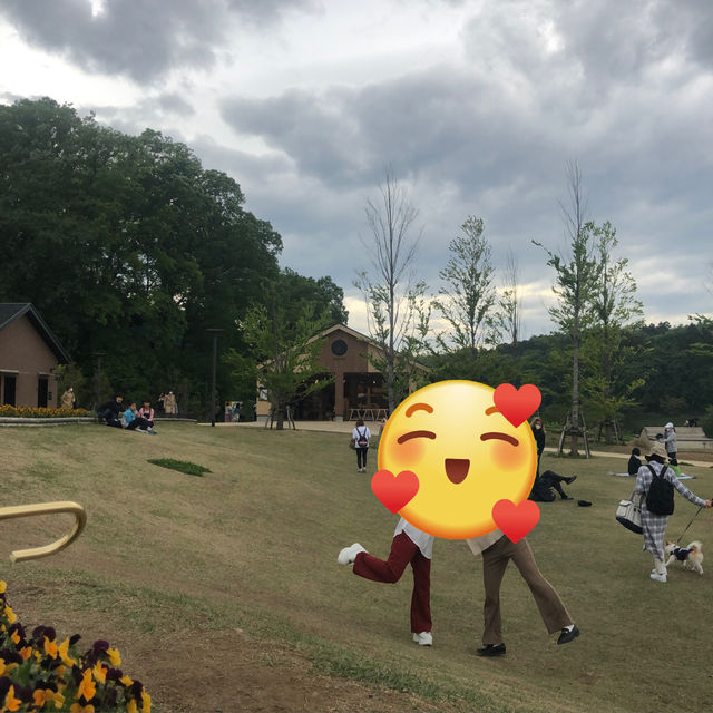 日本のフィンランド！？！？！？
