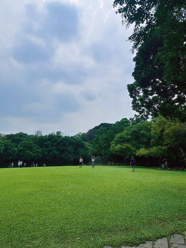 [台中] 迷你的亞馬遜熱帶雨林 在雨林溫室觀賞各種植物 -自然科學博物館植物園