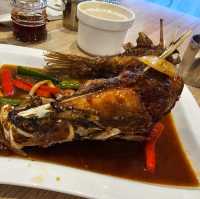 澳洲「肺魚」你食過未？