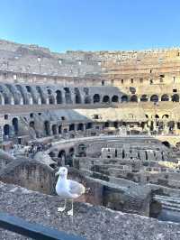 【イタリア🇮🇹ローマ】ローマ観光で絶対行きたいコロッセオ！