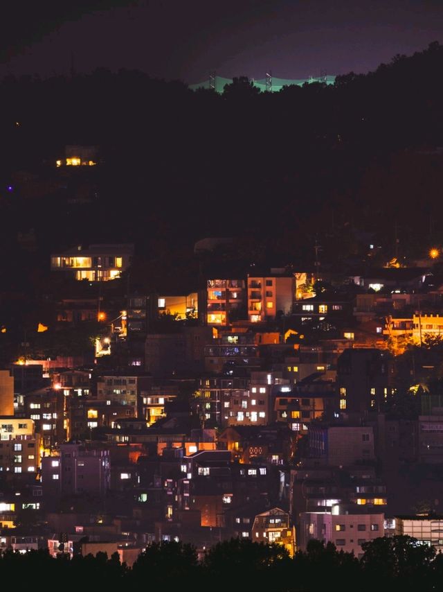지금 딱 달려가기 좋은 서울 낙산공원