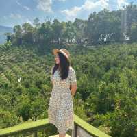 3 days 2 Nights in Chiangmai
