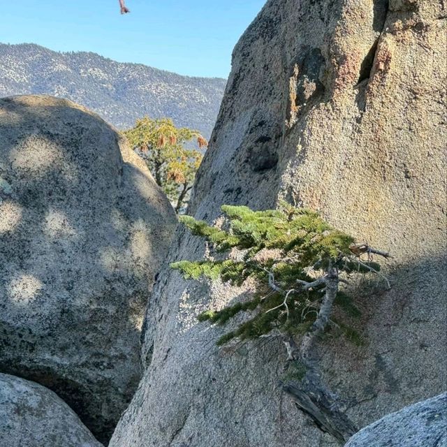 秋日加州大熊湖行山樂👣👨‍🦯🗻