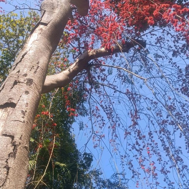น้ำตกมวกเหล็ก สระบุรี สวยมากๆ
