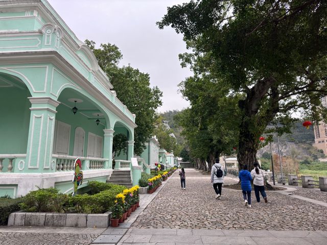 WINTER FRESH at Taipa Houses-Museum 🌸