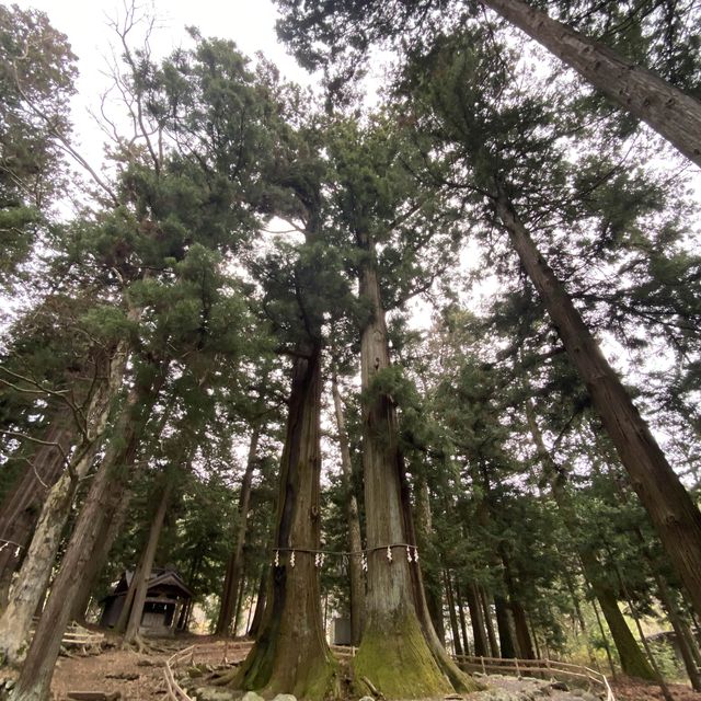 世界文化遺產 河口淺間神社
