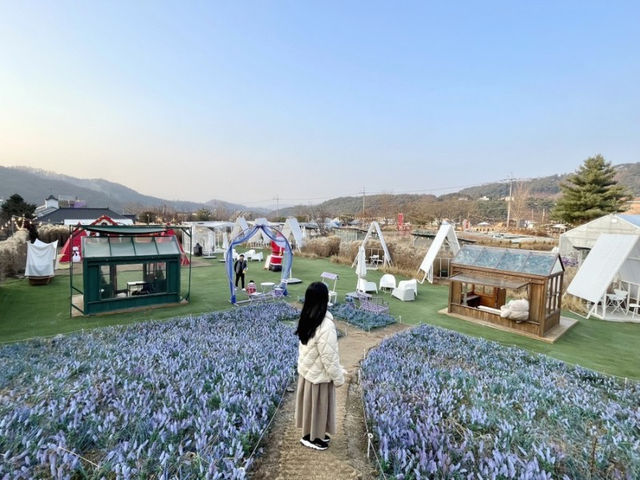 원주 아이와 당일치기 여행 크리스마스 포토존 사진정원 카페