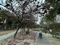 Green Lung in Downtown Kaohsiung 