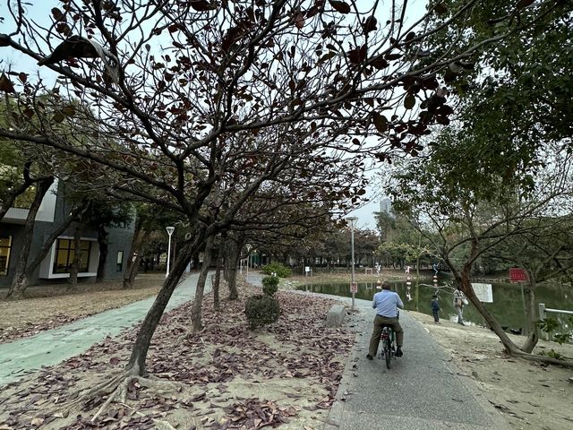 Green Lung in Downtown Kaohsiung 