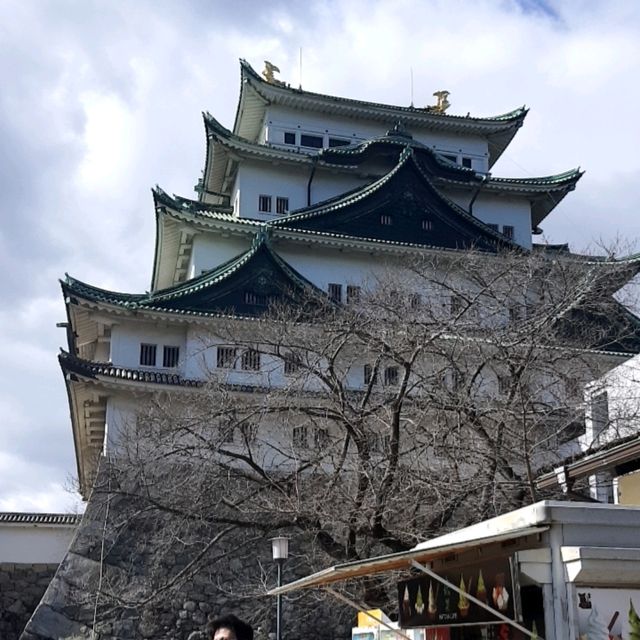 漫走名古屋城，環景看城堡四面之美