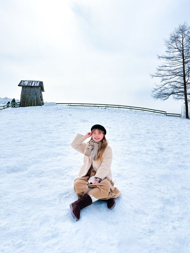 겨울 마지막을 만끽하는 방법 ❄️