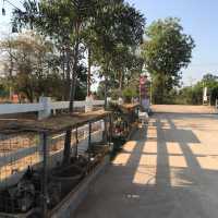 Pepular farm เปปูลาร์ฟาร์ม