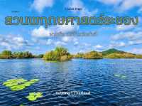 พายเรือคายัค ชมป่าเสม็ดโบราณ ที่สวนพฤกษศาสตร์ระยอง