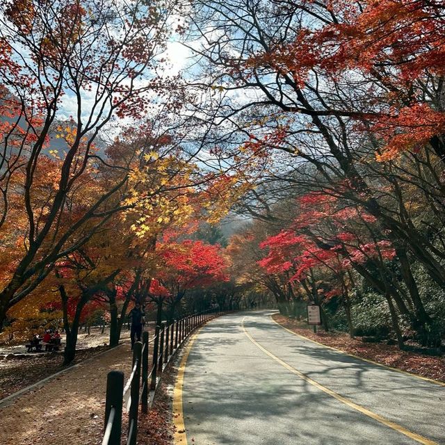 The most beautiful autumn place in korea . 