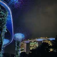 【シンガポール】🇸🇬でイルミネーションを見るならここ❤︎