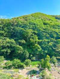 마운틴뷰 대형카페⛰️