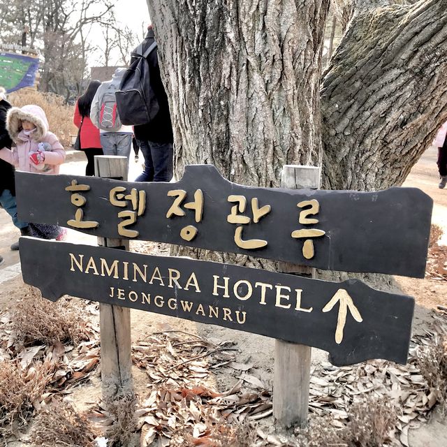 Winter Sonata?!🙀🫶🏻🙌