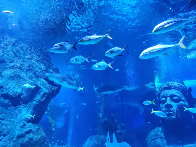 地點屈機既水族館|曼谷暹羅海洋世界