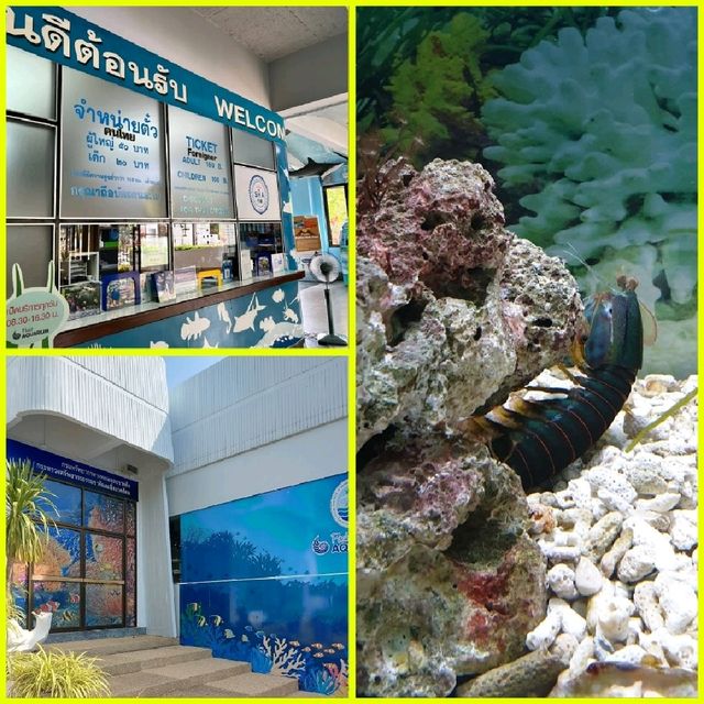 布吉水族館