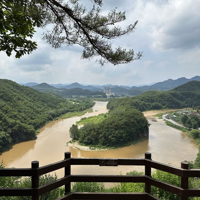 自然に出来た韓国地図！？すごすぎた！