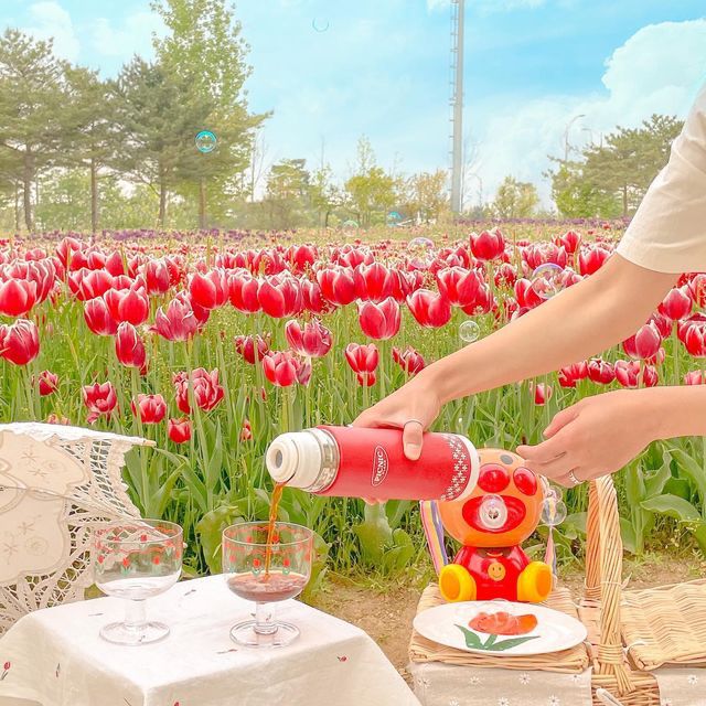 문암생태공원에 가득 핀 튤립🌷💖