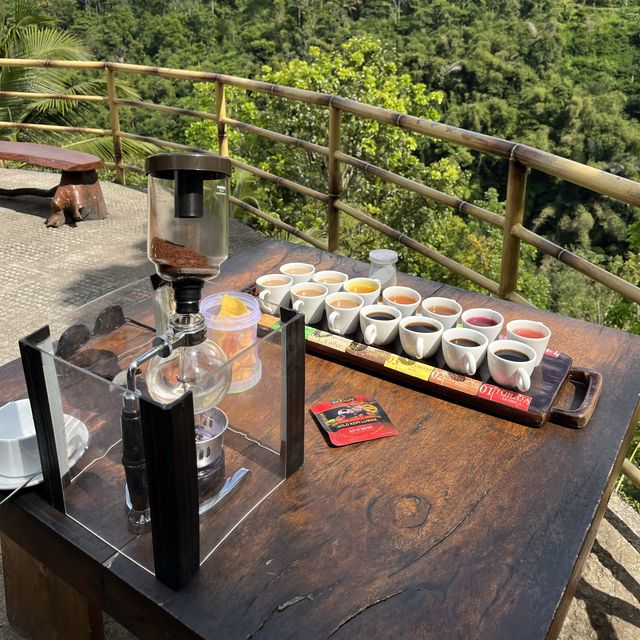 Luwak coffee with a view