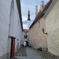 Tales from Tallinn Old Town