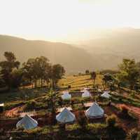 The Season camp ภูชี้ฟ้า ที่พักวิวหลักล้าน