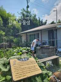 경주의 또다른 여행지 감포 나들이✨️
