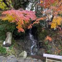 HYOTEN ONSEN BEPPU,OITA🇯🇵